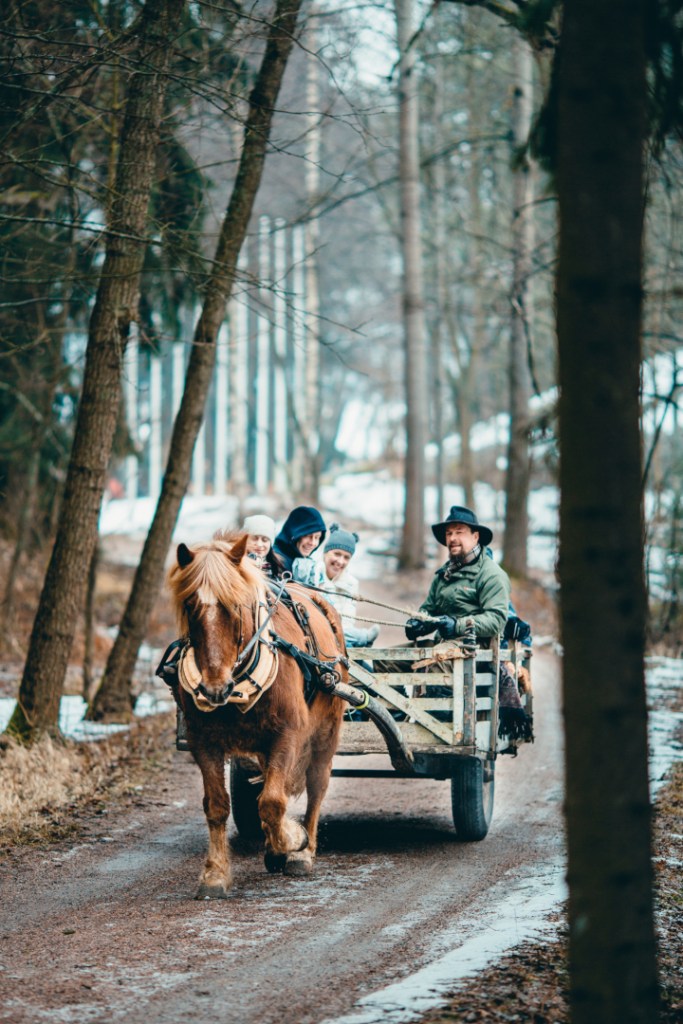 Hevosrattaat laskiaisena Seurasaaressa Kuva: Jussi Hellsten / Helsinki Marketing