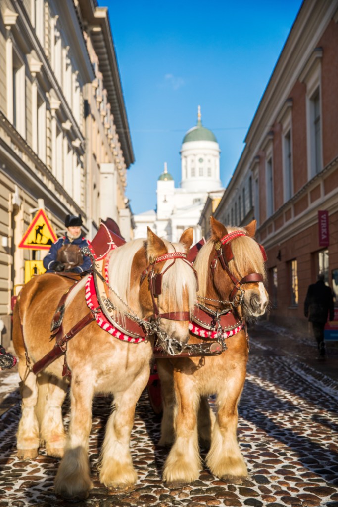 Horse carriage Kuva: Yiping Feng and Ling Ouyang / Helsinki Marketing