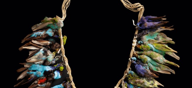 Selkäkoru, täytetyt tangarat, puuvillanyöri. 1930-luku, jívarot, Ecuador. Kuva: Ilari Järvinen, Museovirasto.